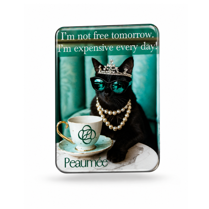 Peaumée Premium Gadget Sticker - «EXPENSIVE EVERY DAY»